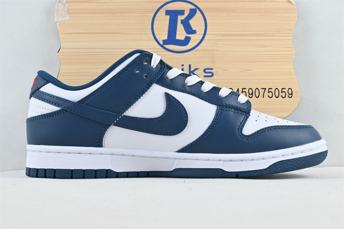 Nike Dunk Low Valerian Blue (special sale)