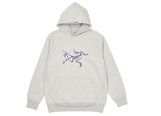 Arc'Teryx Arc'Teryx Hood Grey