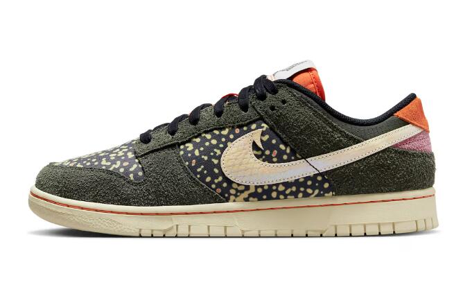 Nike Dunk Low Rainbow Trout