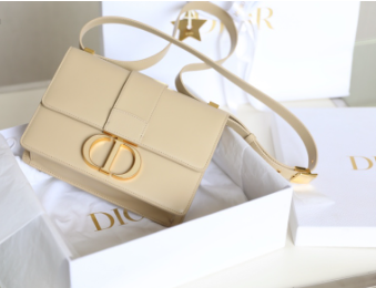 D10r 30 Montaigne East-West Bag