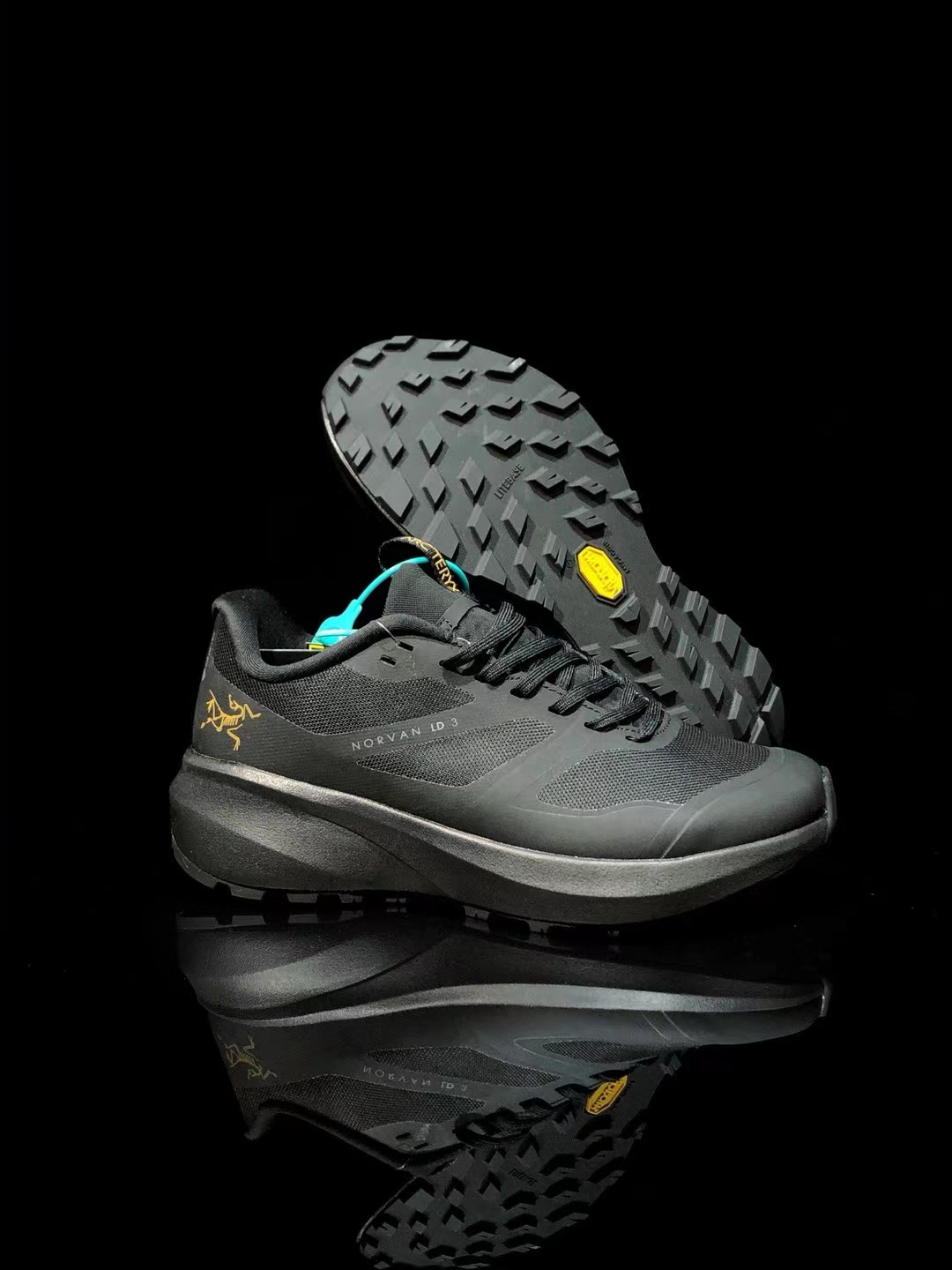 Arc’teryx Norvan Ld 3